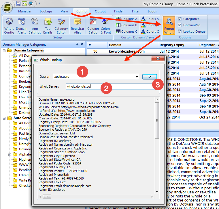 Older version of Port 43 Whois Diagnostic Tool