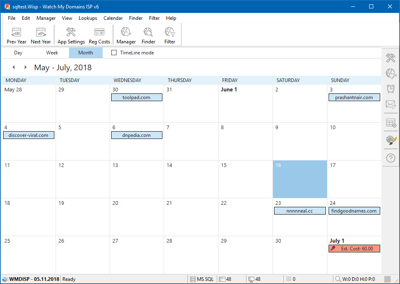 Calender View in Watch My Domains ISP