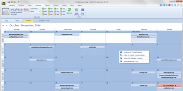 Calender View in Watch My Domains ISP