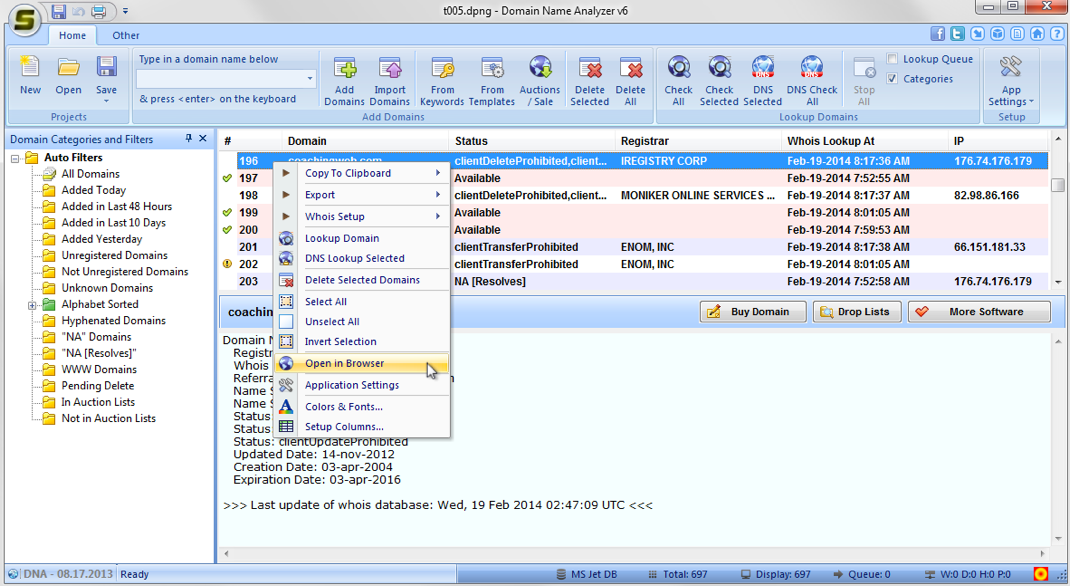 Domain Name Analyzer Screen