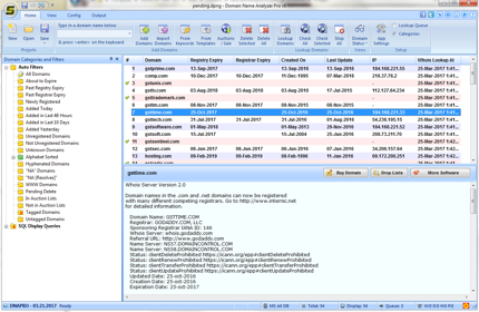 Domain Name Analyzer Pro