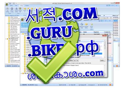 Domain Name Software for Windows