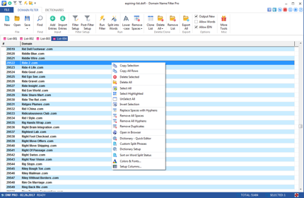 Domain Name Filter Pro