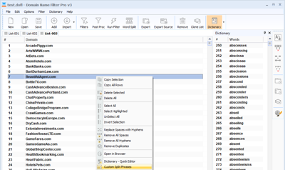 Domain Name Filter Pro