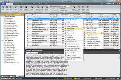 Domain Punch Pro