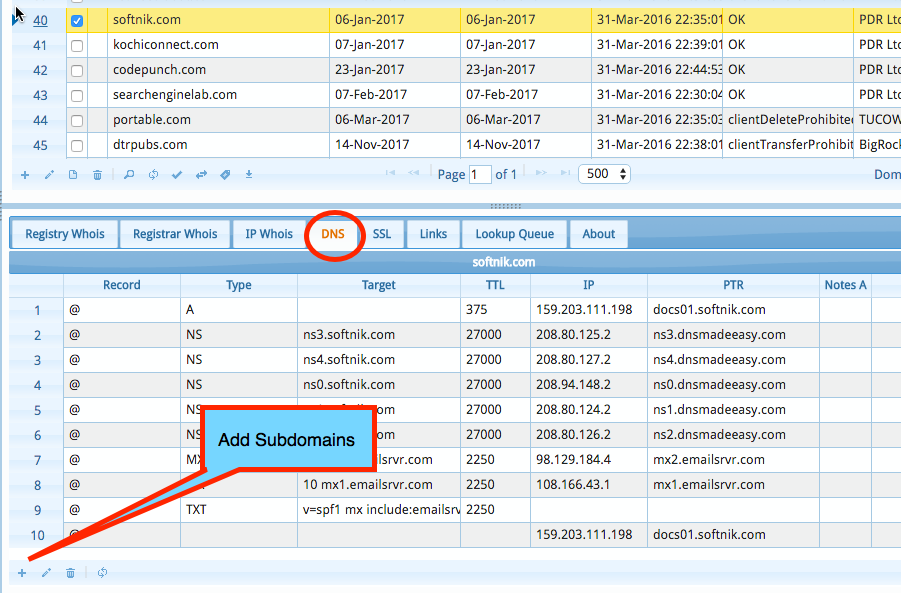 Subdomains and DNS Information