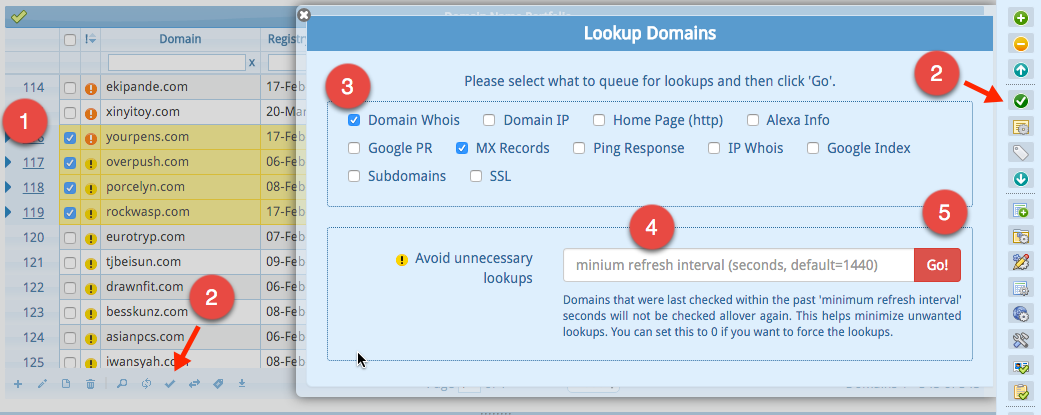 Looking up Domains