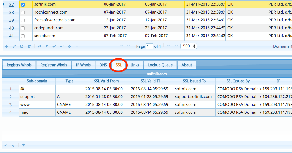 Domain SSL Information