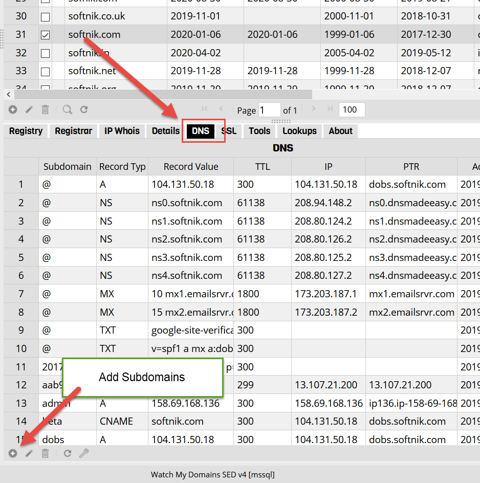 Subdomains and DNS Information