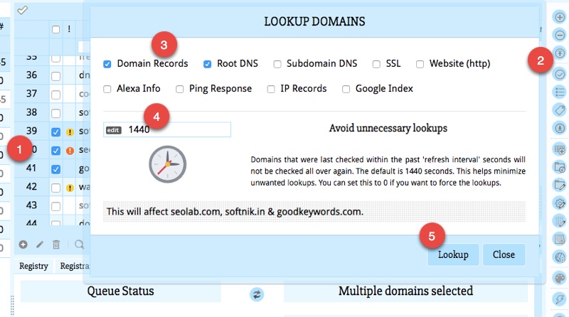 Looking up Domains