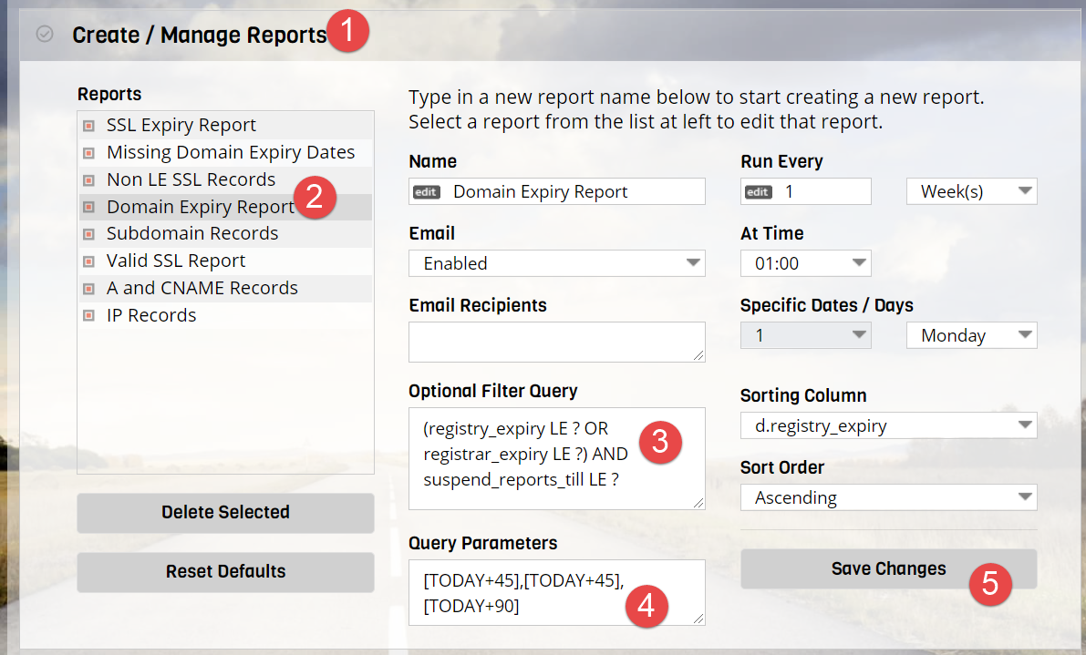 Report Scheduler for Domain Name Monitoring