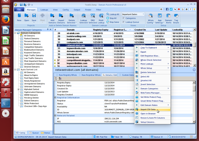 Domain Punch Pro on Ubuntu